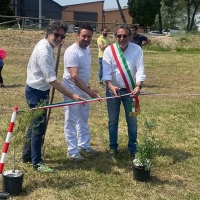 A Villotta di Chions (PN) nasce “Il Bosco di Maarmo”