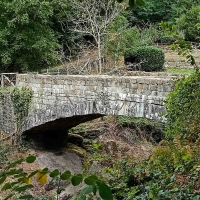 “Sulla via di Dante”, una camminata sul sentiero medievale di Raggiolo 