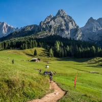 MYTHOS PRIMIERO DOLOMITI CHE BELLEZZA. NELLA VALLE ‘BIKE-FRIENDLY’ DI PRIMIERO