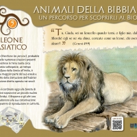 Ambasciata d’Israele e Fondazione Bioparco Inauguriamo l’Intinerario Culturale ” Animali della Bibbia