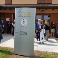 GARLIVE®, un concentrato di salute dalle olive del lago di Garda 