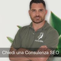 L'esperienza e il valore di un consulente SEO di alto livello