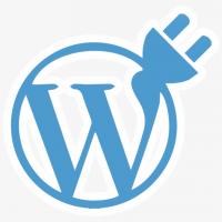 Assistenza WordPress online a Napoli