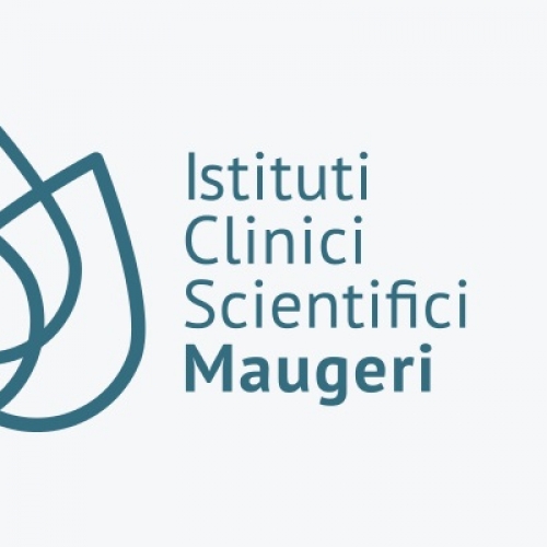 Ictus, ICS Maugeri S.p.A.: individuata cura personalizzata per il recupero 