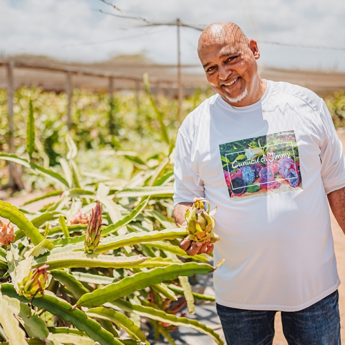 Aruba like a local: 5 modi per entrare in contatto con la comunità locale