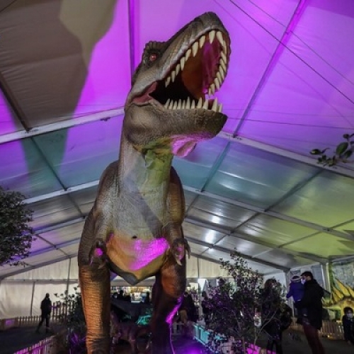 Reggio Emilia: grande avventura nel mondo della preistoria con “Jurassic Expo in Tour”    