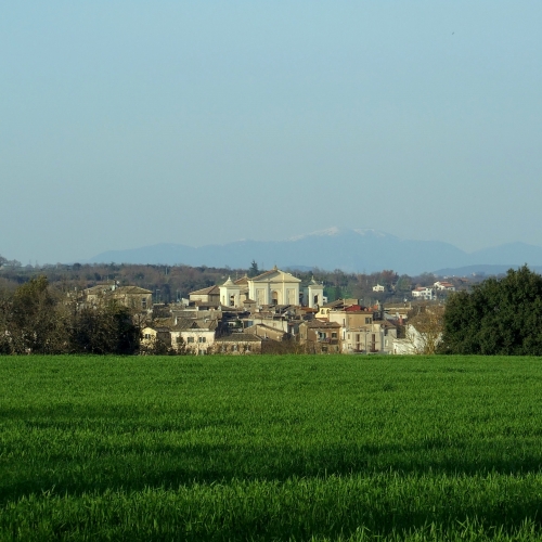 ALLA SCOPERTA DEI PERCORSI NATURALISTICI DI GALLESE