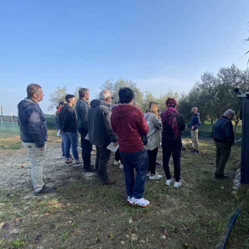 Grande successo a Rimini per l’Helix-Day organizzato sabato da Demetra