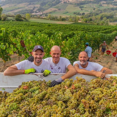 Croce di Montecolombo, sabato 10 dicembre porte aperte alla Cantina Fiammetta