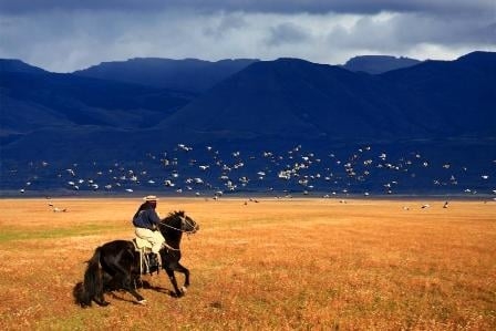 A 'Terra promessa-il sogno argentino' il premio 'Pubblicazione istituzionale' (XXIII Concorso 'Il Paese delle Donne')