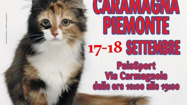 I GATTI PIU' BELLI DEL MONDO arrivano a CARAMAGNA PIEMONTE (Cuneo)