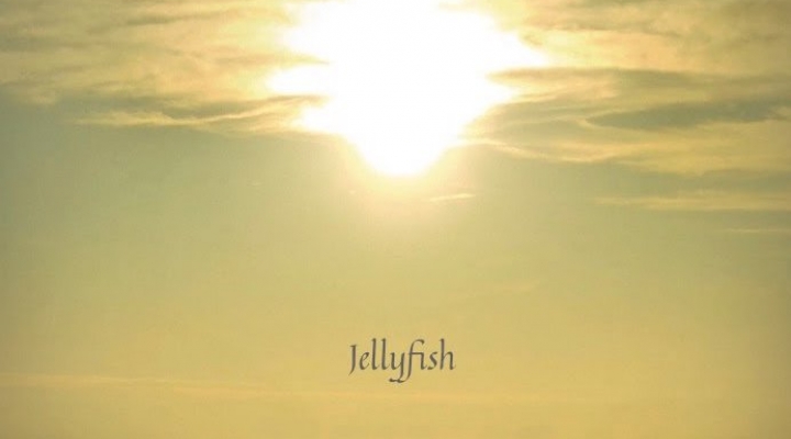 “JELLYFISH” È LA NUOVA USCITA DI MAGRATHEA