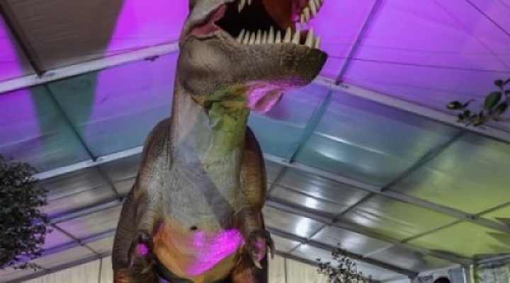 Reggio Emilia: grande avventura nel mondo della preistoria con “Jurassic Expo in Tour”    