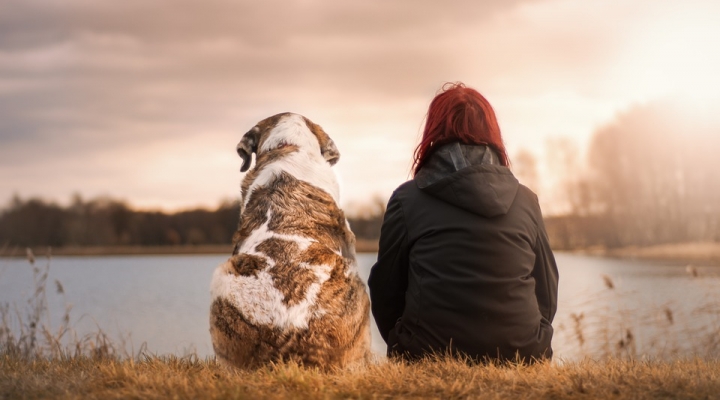 Amici a quattro zampe: amore incondizionato