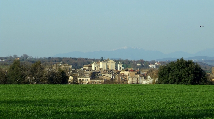 ALLA SCOPERTA DEI PERCORSI NATURALISTICI DI GALLESE