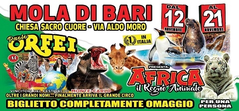 Mola di Bari:  Meraviglia circense, è  il grande sogno africano  del Circo Paolo Orfei 