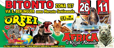 A Bitonto l'incantevole sogno africano  del Circo Paolo Orfei 