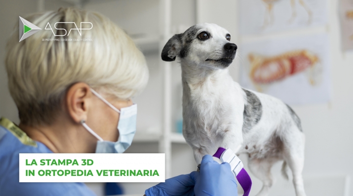 La stampa 3D in ortopedia veterinaria per garantire il benessere dei nostri animali