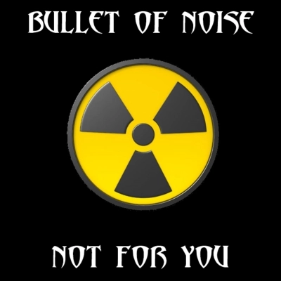 IL RITORNO DEI BULLET OF NOISE CON  Not For You