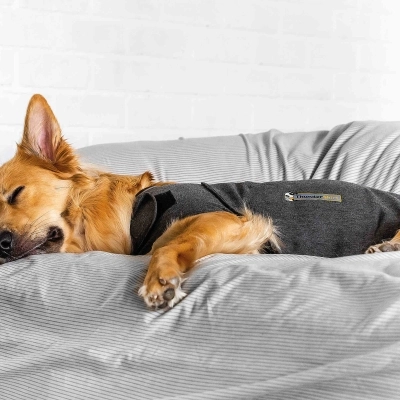 Arriva ThunderShirt, il cappottino che rilassa Fido nei momenti di stress