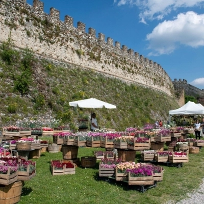 Dal 14 al 16 aprile la XV Edizione di FIORInellaROCCA - Mostra mercato di piante rare alla Rocca Visconteo Veneta di Lonato del Garda (BS)