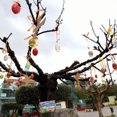 ALLESTIMENTO ALBERO DI PASQUA IN PIAZZA