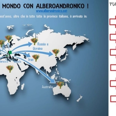 Alberoandronico: da Roma giro del mondo! 