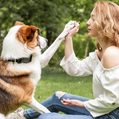 Ti Presto Fido, il tuo cane in ottime mani