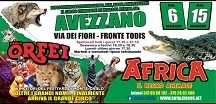 Avezzano:  il grande sogno africano del Circo Paolo Orfei, lo spettacolo di successo