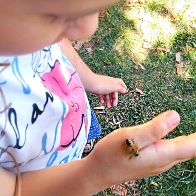 I LABORATORI PER BAMBINI DI FATTORIA SOCIALE PAIDEIA