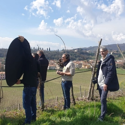 UNA VITA TRA LE VITI: IL CONSORZIO TUTELA COLLI BERICI E VICENZA SI RACCONTA IN TV