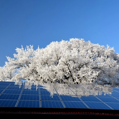 L’importanza della sostenibilità: il contributo di Plenitude alla transizione energetica