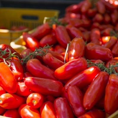 Aspettando il mio San Marzano, l'evento che celebra l'oro rosso campano