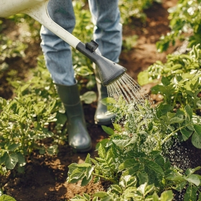 Prendersi cura del giardino in estate: I migliori strumenti per lavorare con precisione e facilità