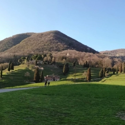 I “RONCHI” DEL BELVEDERE DI ALZANO LOMBARDO: DUE BORSE DI STUDIO PER LO SVILUPPO DI UN PROGETTO DI VALORIZZAZIONE