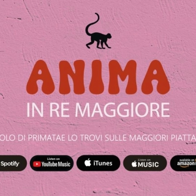 Anima in re maggiore il nuovo video di Primatae