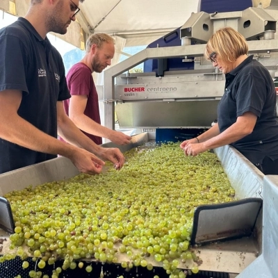 Vendemmia 4.0: con Roeno ricerca e sperimentazione in cantina