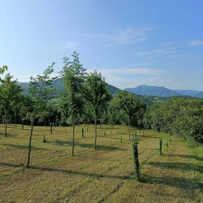 Giornata Nazionale degli Alberi, l’Oasi Agromonte per promuovere la biodiversità e la resilienza degli ecosistemi