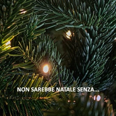 Non sarebbe Natale senza … 