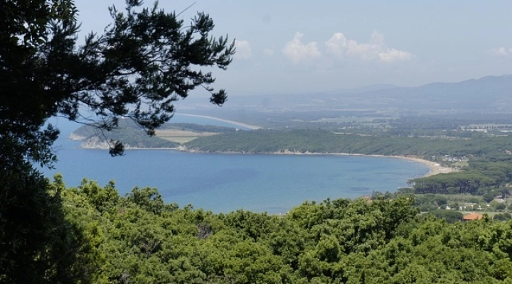 Maremmainfesta.it, per conoscere e promuovere eventi e attività in Maremma