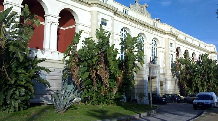 Acquario Dohrn Napoli