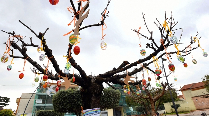 ALLESTIMENTO ALBERO DI PASQUA IN PIAZZA