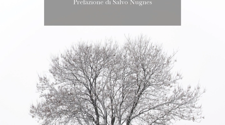 La poetessa Maria Mollo intervistata in occasione dell’uscita del suo libro “Sovversivo” 