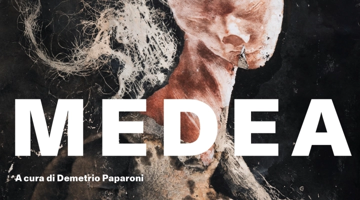 MEDEA - Mostra d'Arte Contemporanea a cura di Demetrio Paparoni