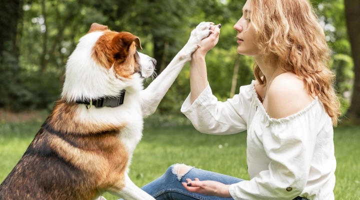 Ti Presto Fido, il tuo cane in ottime mani