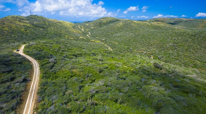 Arikok: il cuore verde di Aruba