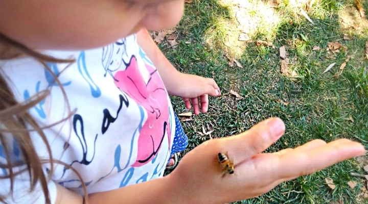 I LABORATORI PER BAMBINI DI FATTORIA SOCIALE PAIDEIA