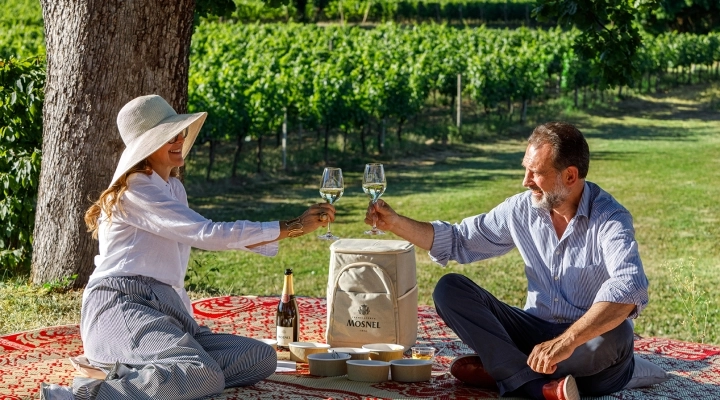 MOSNEL APRE LA STAGIONE DELL’OSPITALITÀ CON I PICNIC IN VIGNA