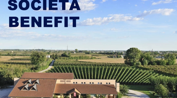 FARE VINO IN MANIERA CONDIVISA E INCLUSIVA: CECCHETTO DIVENTA SOCIETÀ BENEFIT