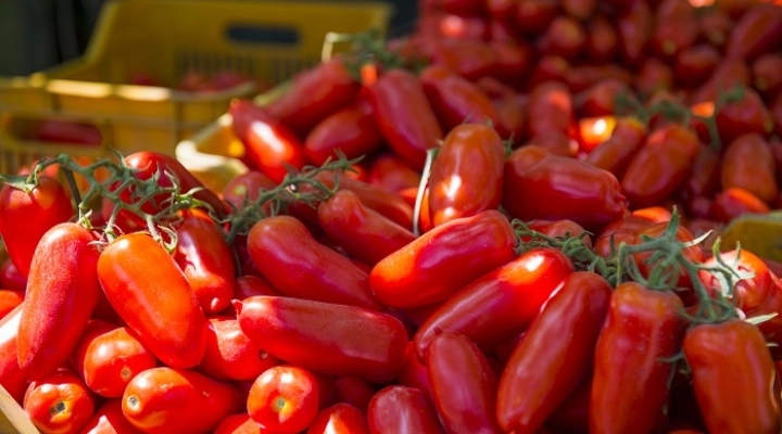 Aspettando il mio San Marzano, l'evento che celebra l'oro rosso campano